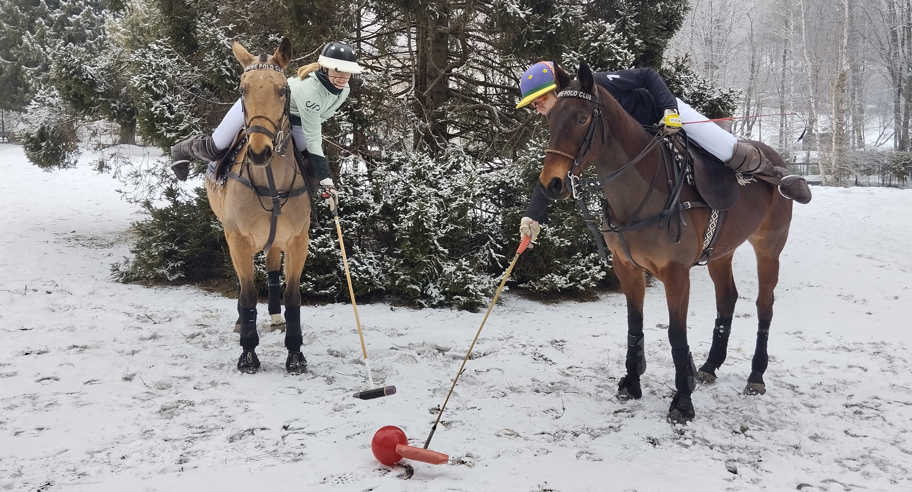 Divákov čaká netradičný turnaj. Do Tatranskej Lomnice zavíta snehové konské pólo
