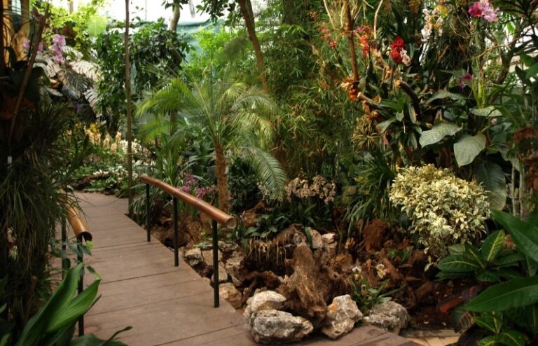 Košická botanická záhrada vystavuje jedinečné orchidey