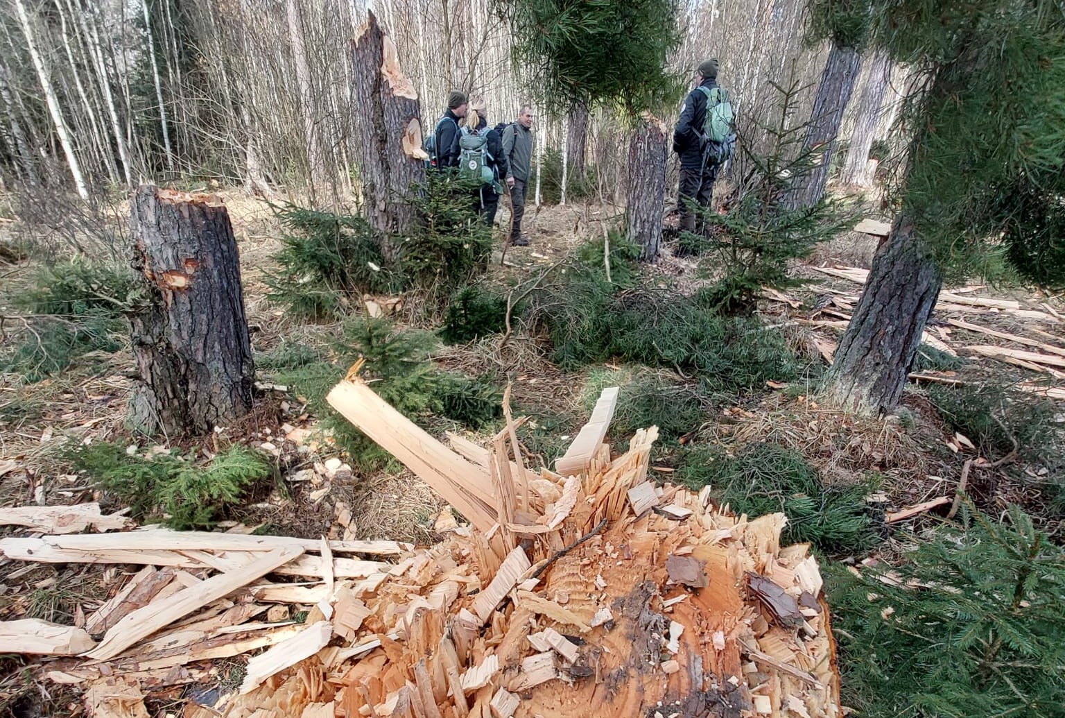 Správa TANAP-u odmieta obvinenia pre ťažbu v Kôprovej doline