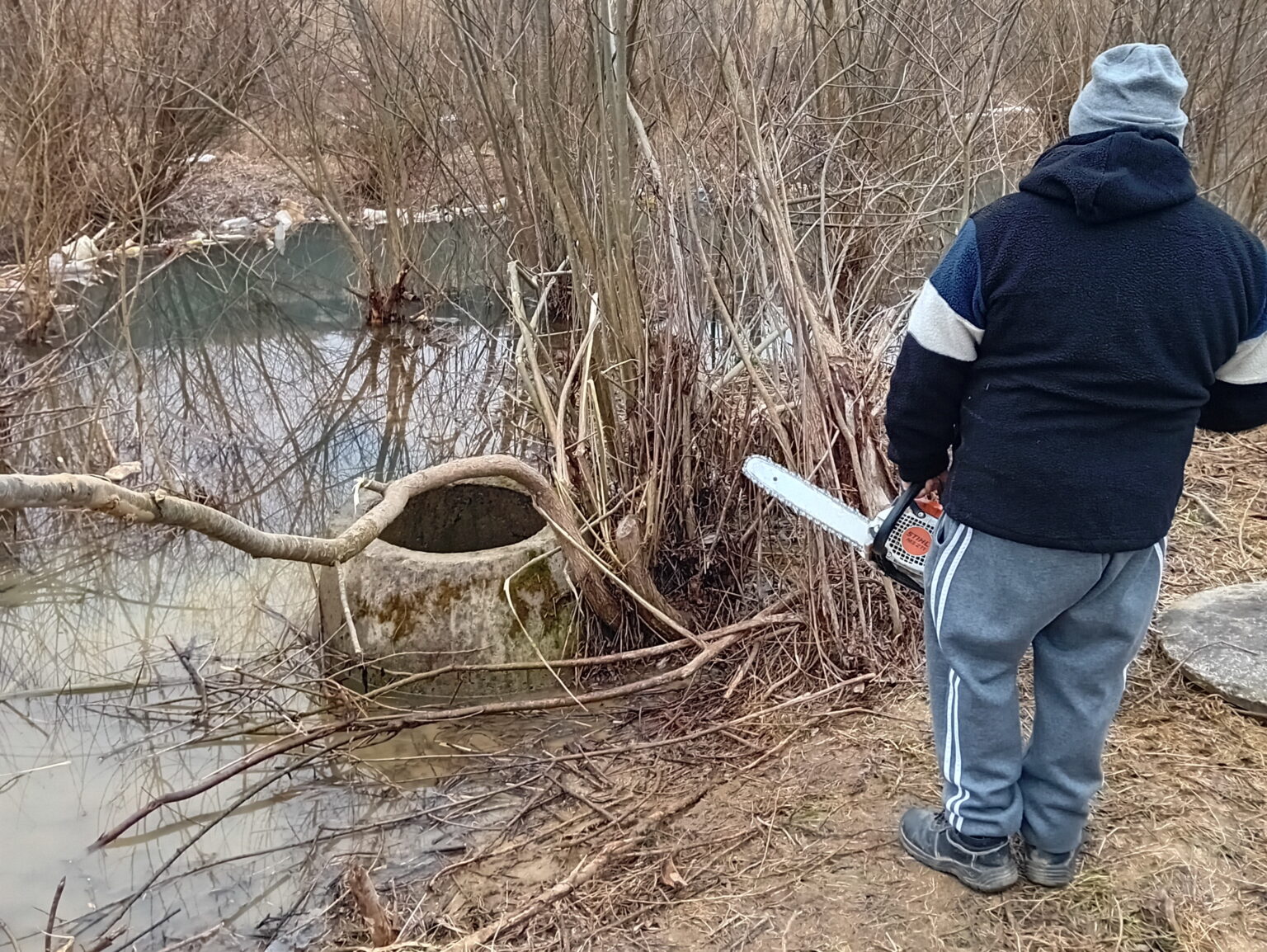 Mladé bobry zachraňovali z nezakrytej šachty. Foto: Regionálne centrum ochrany prírody v Prešove