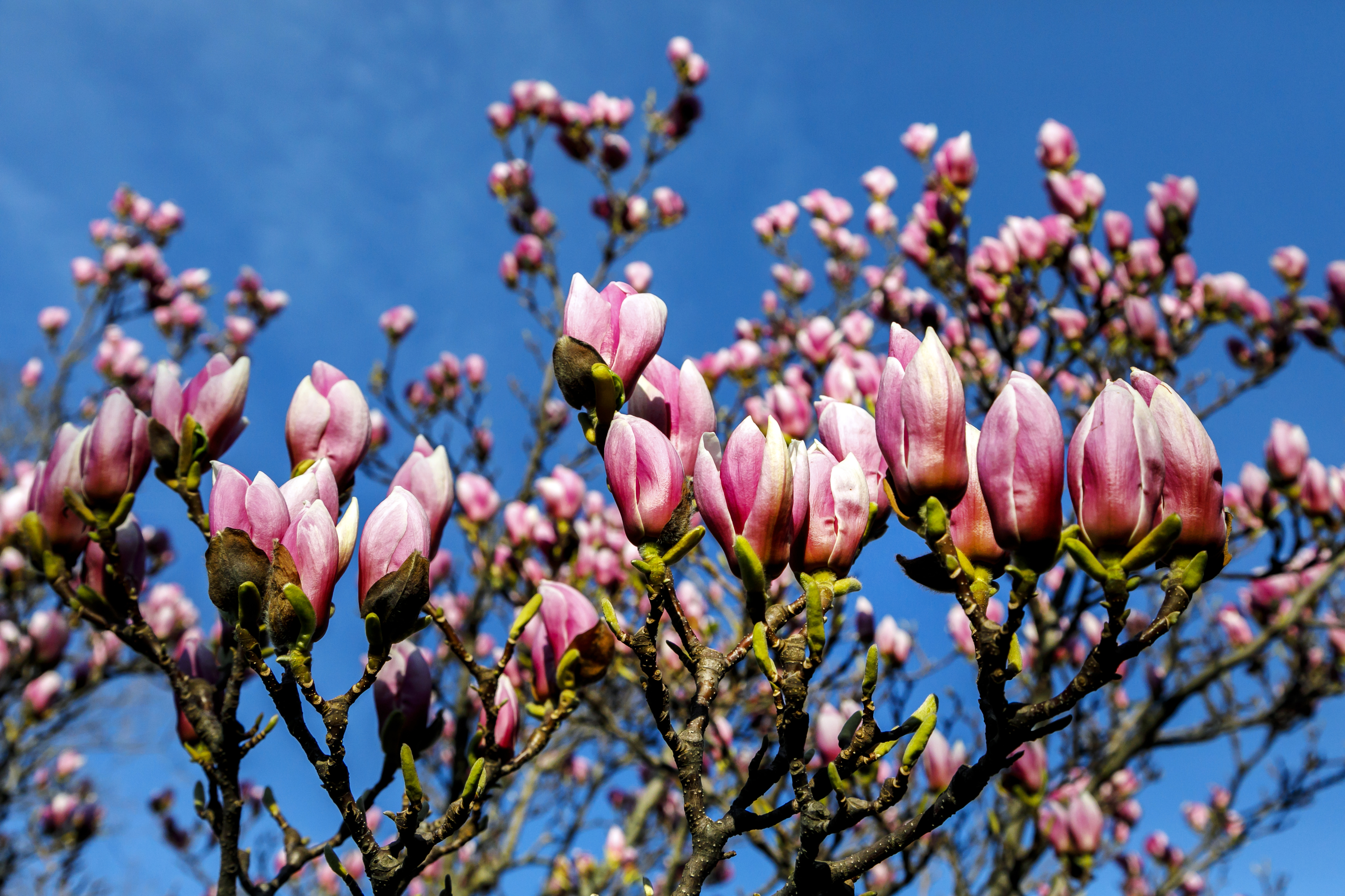 Začala sa astronomická jar. Môžeme očakávať jarné počasie?
