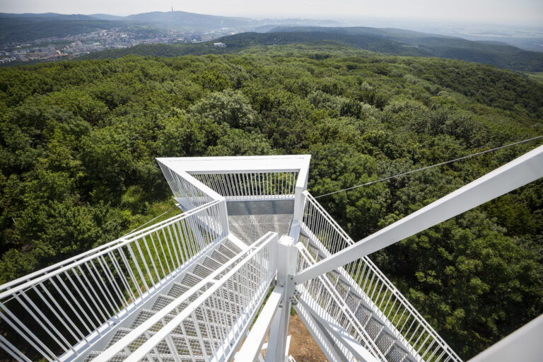 Devínska Kobyla je od tohto roka prírodnou rezerváciou. Viete, čo je dovolené?