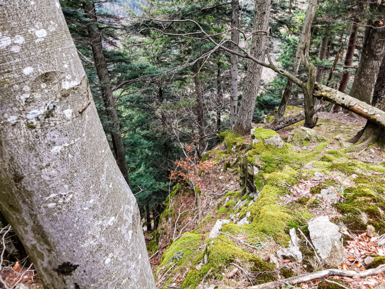 Na mape chránených území pribudla oblasť neďaleko Žiliny. FOTO: Mesto Žilina