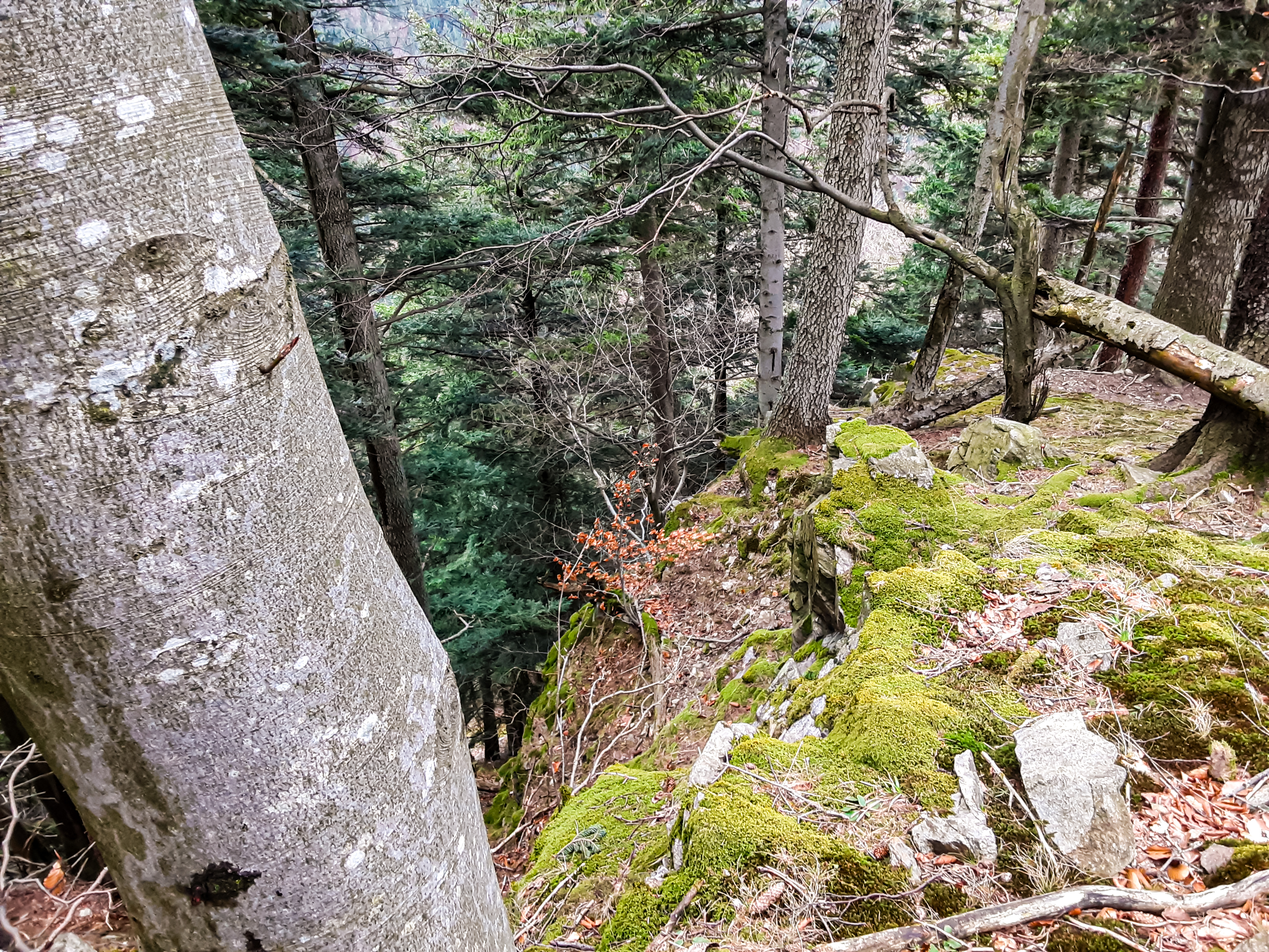Na mape chránených území pribudla oblasť neďaleko Žiliny