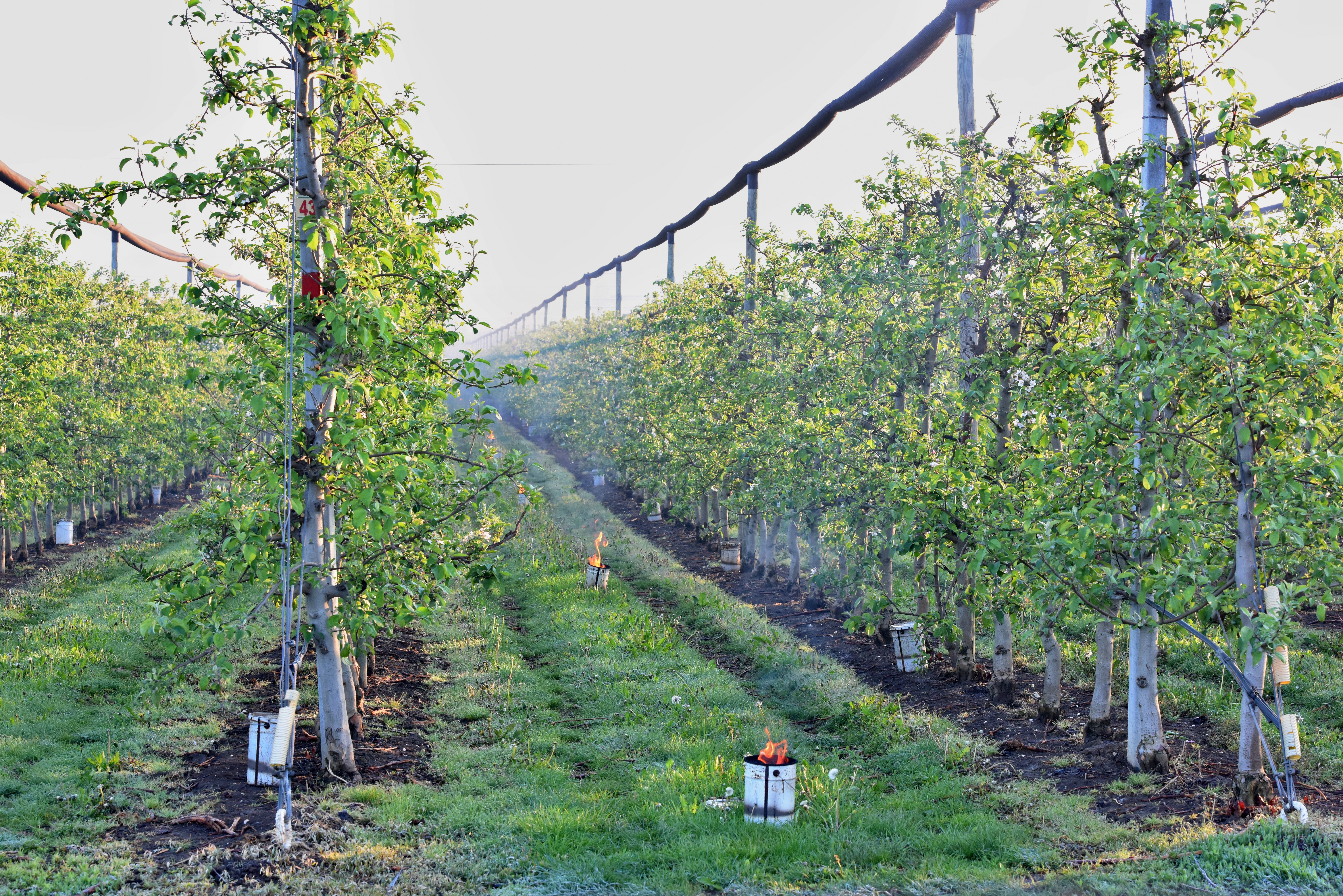 Čaká nás zvrat v počasí. Výrazné ochladenie potrápi najmä záhradkárov