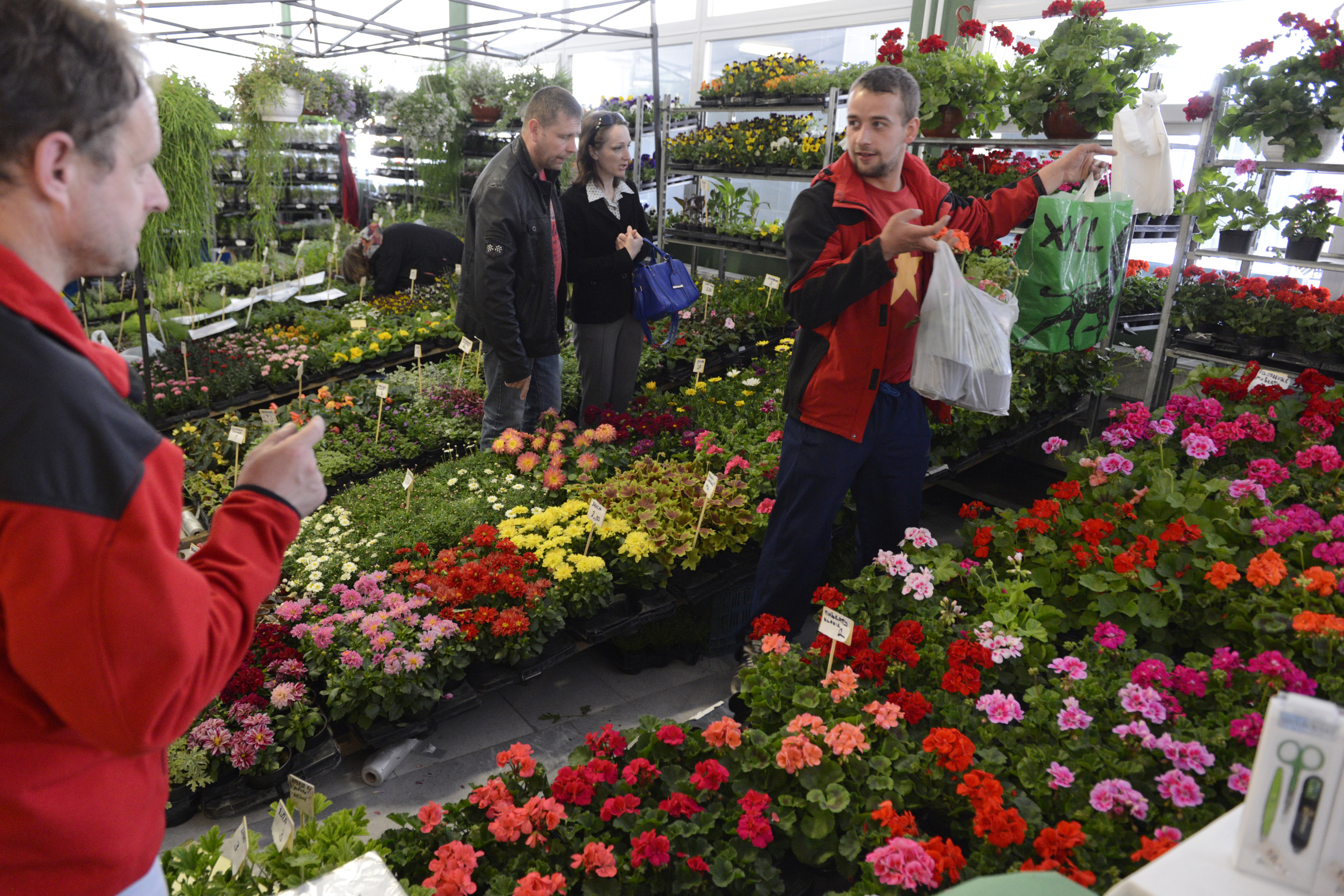 Stovky rastlín, ale aj stavebníckych noviniek. Pozrite, čo ponúkne výstava ABC stavebníctva