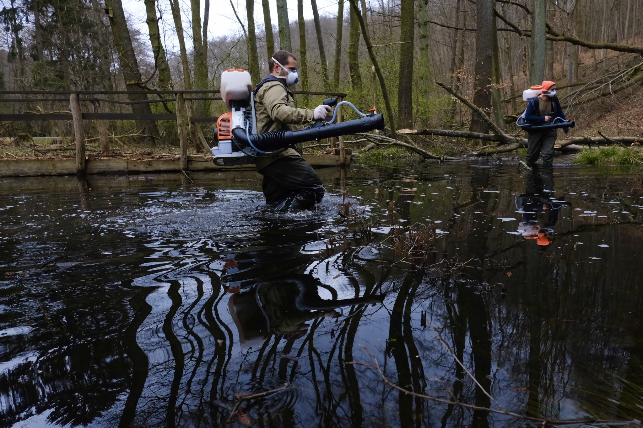 Potrápia nás aj tento rok komáre? Hlavné mesto prijalo prvé opatrenia