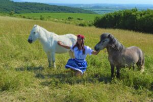 Dobrodružstvo, krásna príroda či láska k zvieratám. To všetko ponúka Čarovný majer a Kone