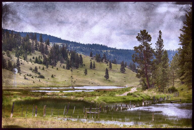 Maľby britského vidieka môžu vzbudzovať "temné, nacionalistické" pocity, varuje múzeum Cambridgskej univerzity