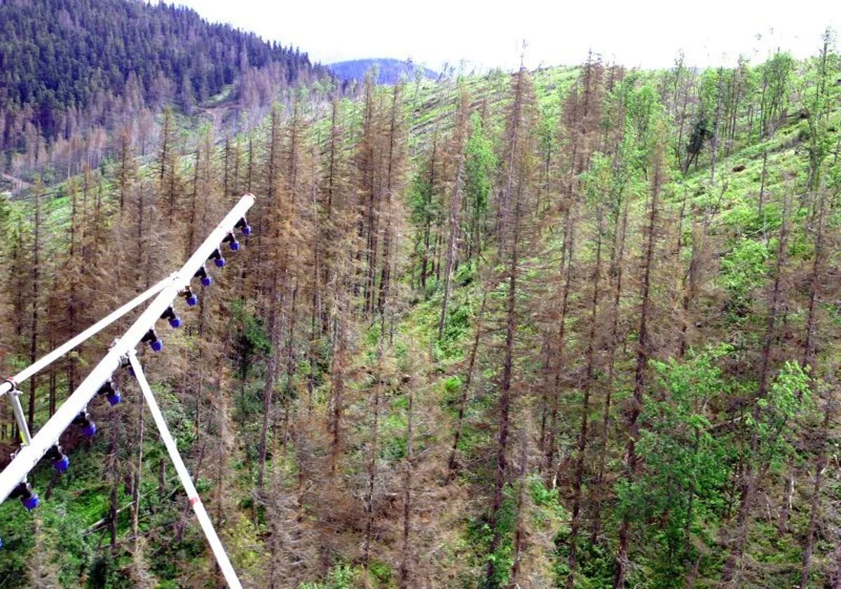 V metropole Horehronia vyhlásili mimoriadnu situáciu v súvislosti s lykožrútovou kalamitou