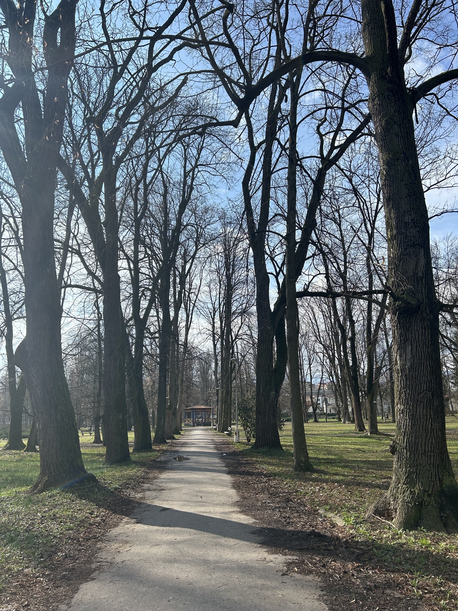 Stav parku je nevyhovujúci a neplní svoj účel. Podľa primátora je nutný odborný zásah