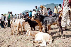 Nie je jedno, čo sledujete. Výskum ukázal, ako môže hodinové video zmeniť ľuďom život