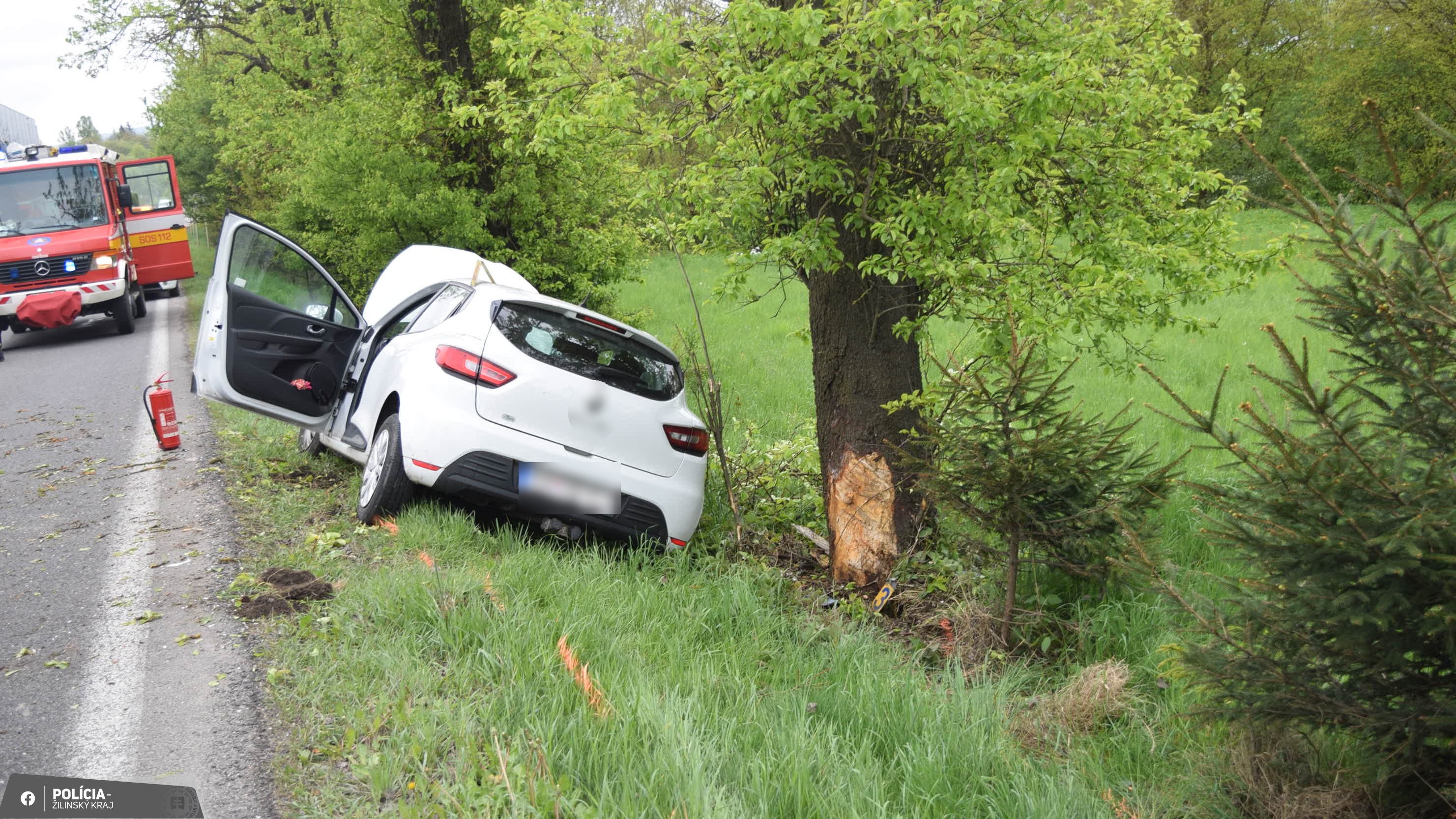 Pred jazdou si poriadne vypil, následne s autom vrazil do stromu