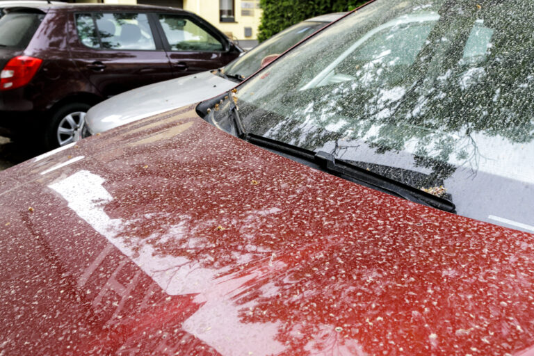 Na Slovensko prichádza prvý letný deň, SHMÚ varuje aj pred saharským prachom