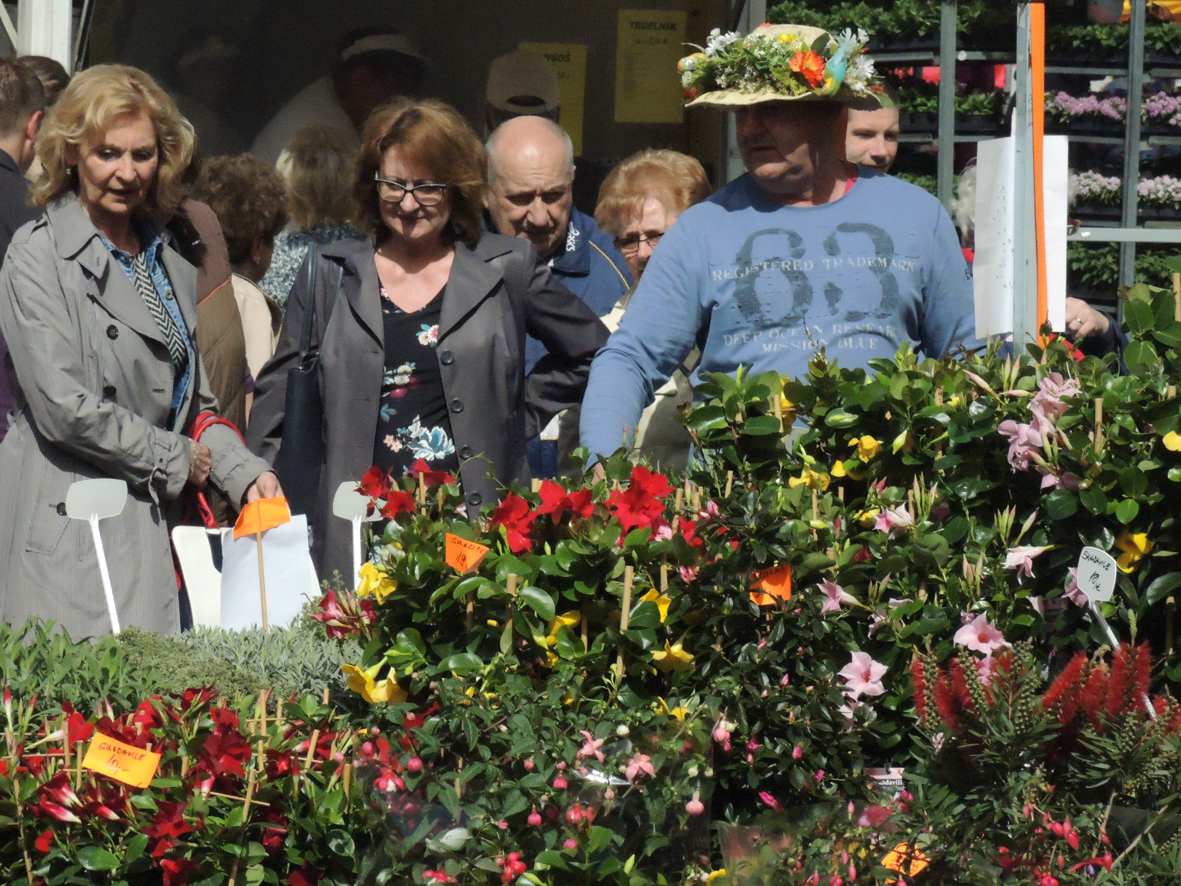 V Trenčíne sa začína obľúbený Záhradkár. Ako sa dostanete na letisko a čo vás čaká?
