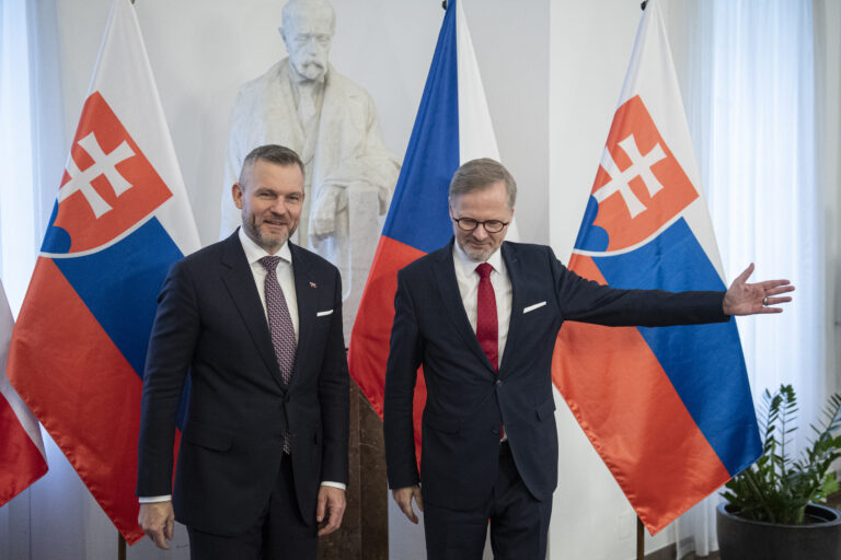 Česká vláda nerešpektuje rozhodnutie slovenských voličov