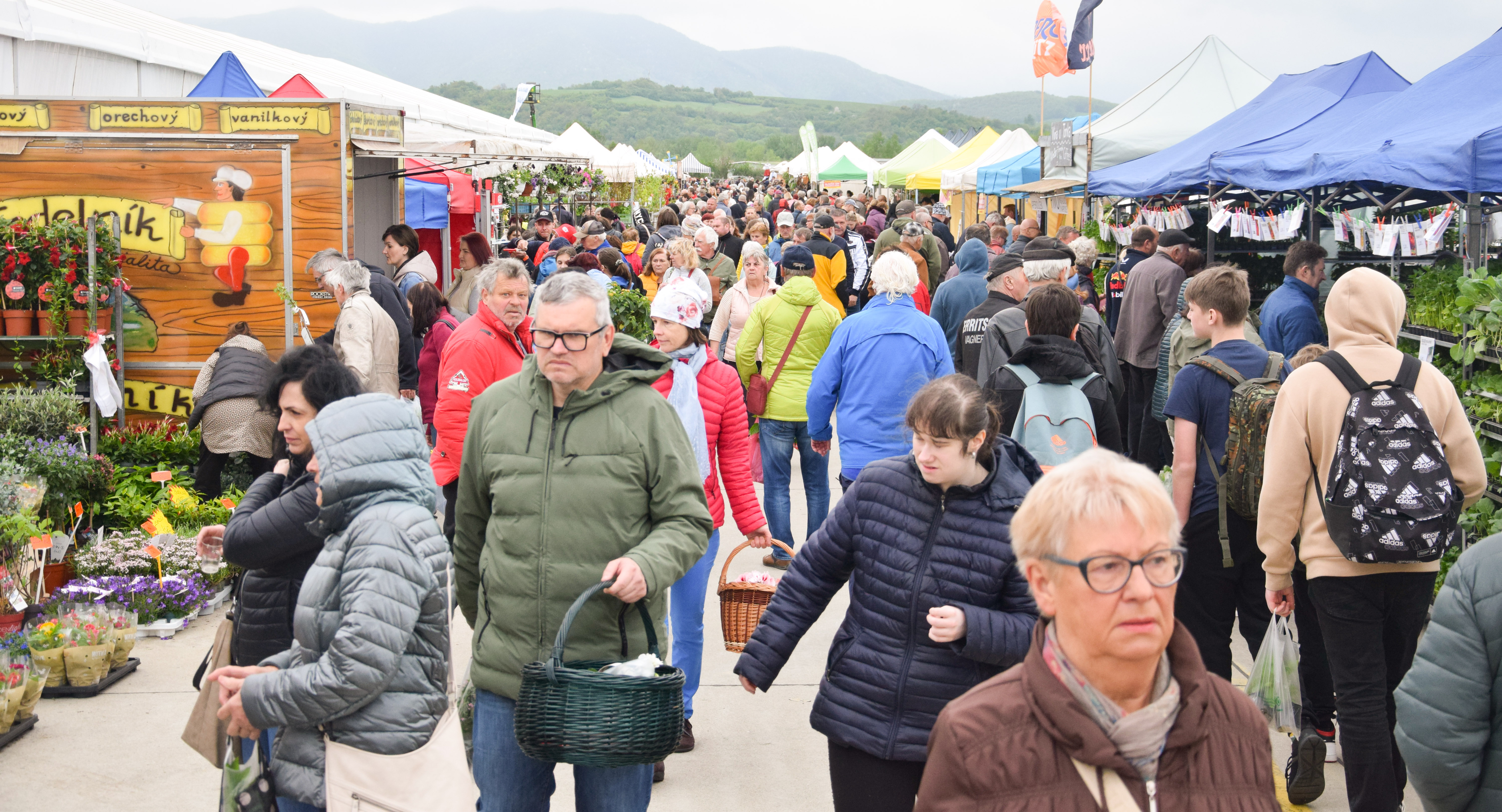 Video: Trenčianske letisko zaplavili milovníci záhrady. Nechýbala legenda ovocinárstva