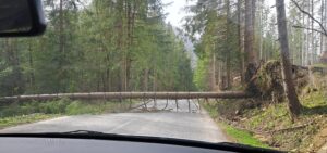 Víchrica narobila obrovskú spúšť. Hasiči odstraňujú spadnuté stromy