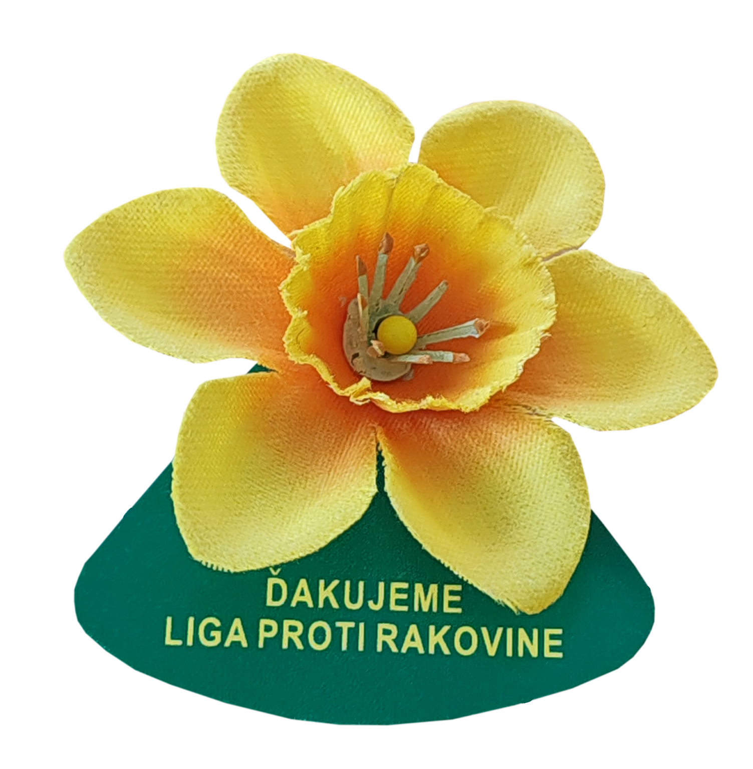 Kvietok, ktorý pomáha. Foto: Liga proti rakovine