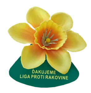 Dnes je Deň narcisov. Každý môže prispieť na dobrú vec. Ako na to?