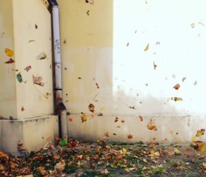 Päť vecí, ktoré by mal vedieť každý Košičan