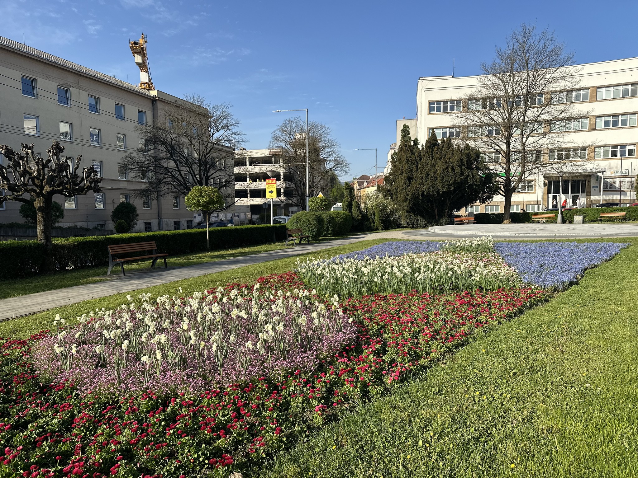 Chystajú výsadbu viac ako 57-tisíc nových kvetov, ktoré skrášlia mesto