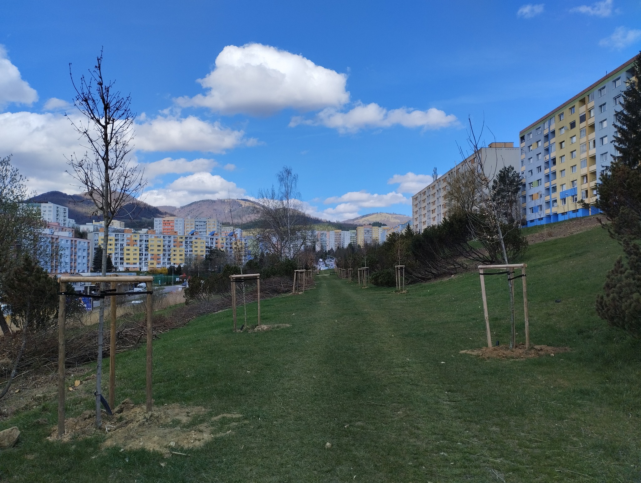 V meste zhodnotili klimatický projekt, cieľom zostáva zelené a zdravé mesto