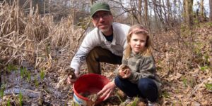 Ochranári na hornej Nitre majú plné ruky žiab. Cez cestu ich preniesli už vyše dvetisíc