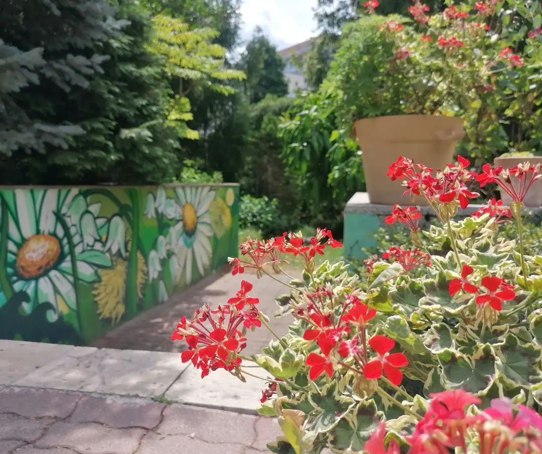 Botanická záhrada má Deň otvorených dverí. Čo všetko počas neho ponúka?