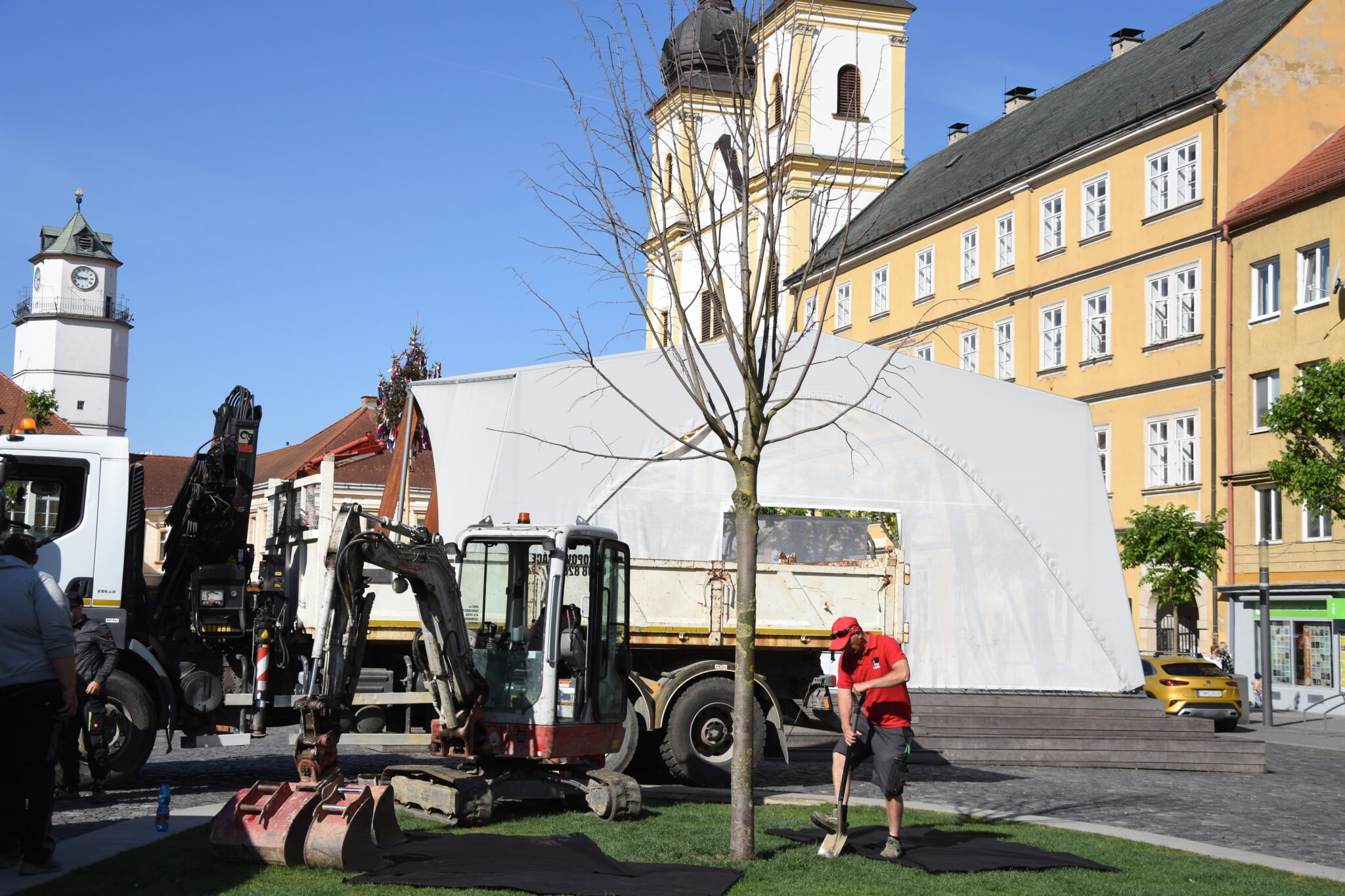 Smutná správa pre všetkých Trenčanov. Z Mierového námestia zmizla lipa