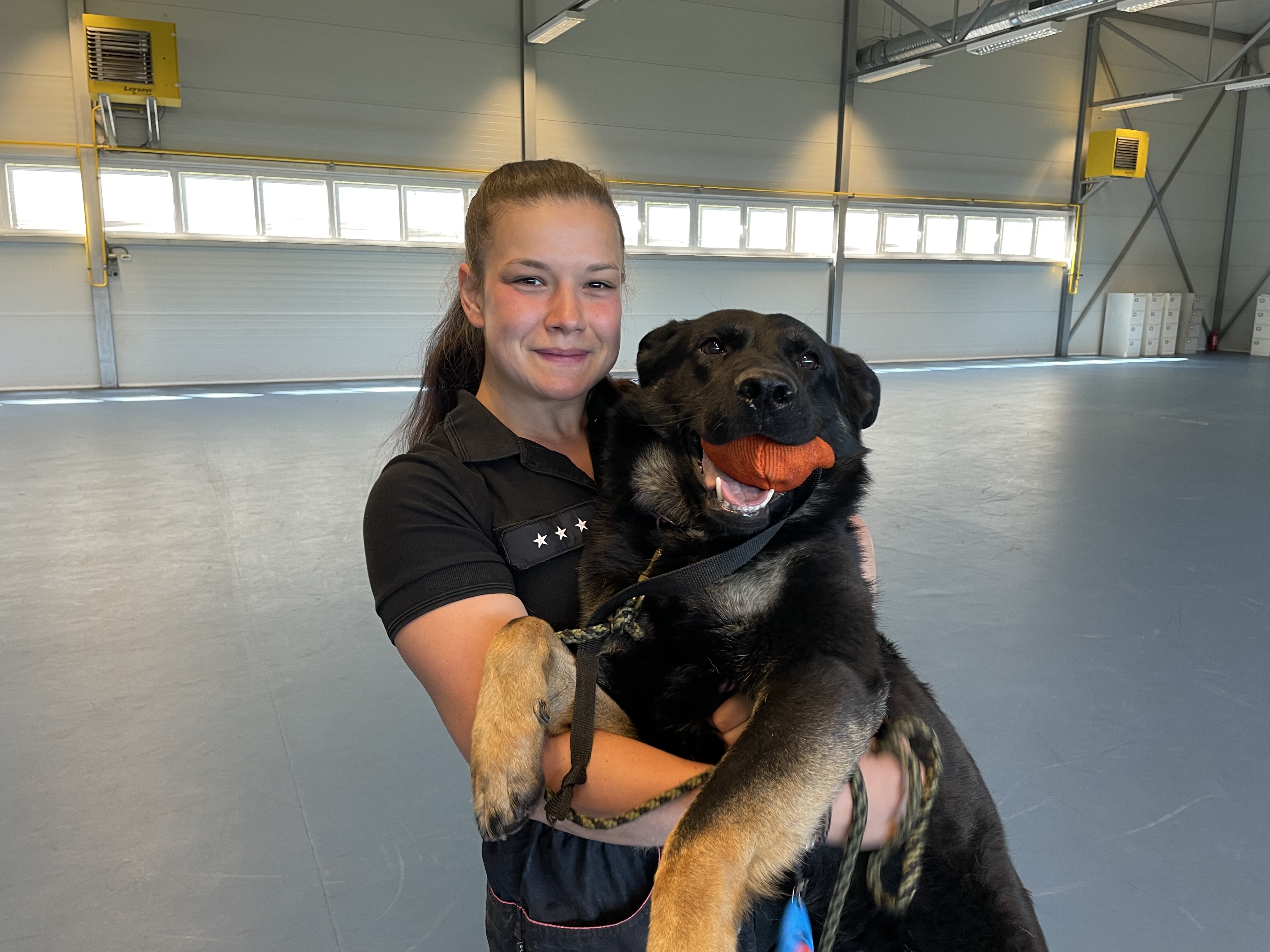 Policajné psy nie sú hračky. Pes sa potrebuje naučiť, že odmena je človek, ktorého chytá