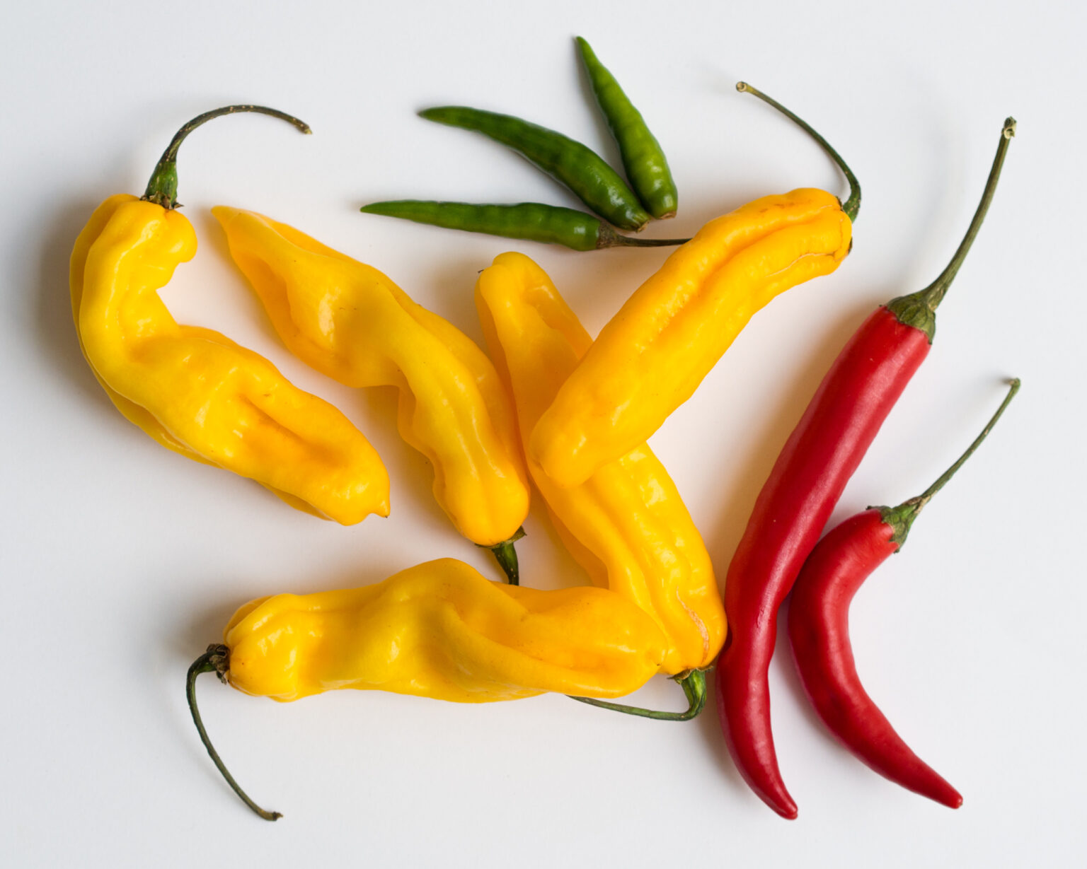 Chilli to je krásna zmes farieb, vitamínov aj emócií. Foto Wikipédia