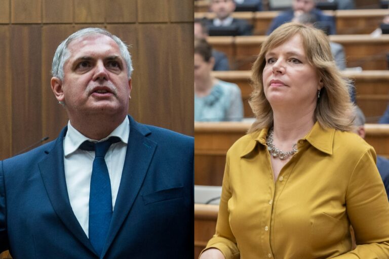 Remišová podáva trestné oznámenie na Michelka