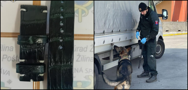 Colníci zadržali remienok z krokodílej kože. Majiteľ sa ho už nedočká