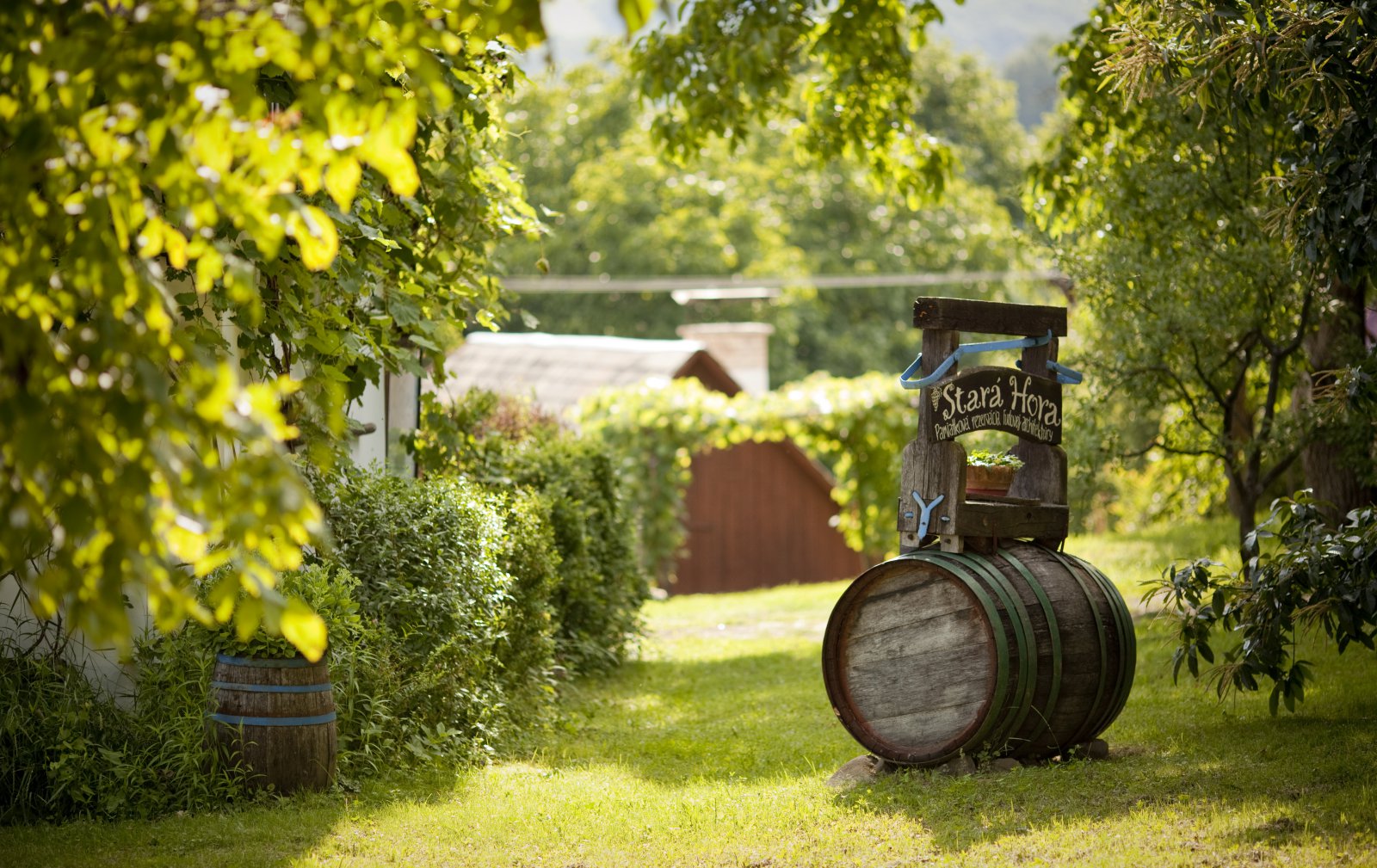 Svätourbanské slávnosti 2024 Sebechleby. Príďte na vínko aj na muziku