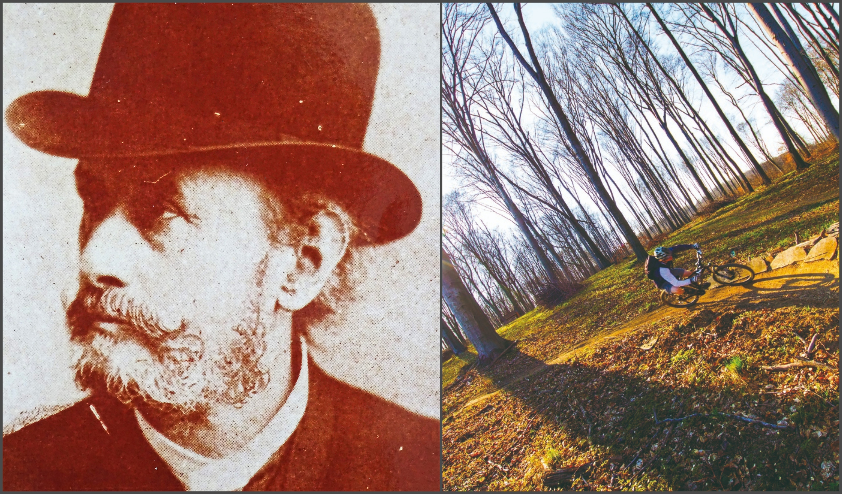 Vynovený cyklotrail aj socha prešovského rodáka. Čo pribudne v Prešove?