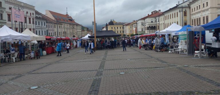 Pomoc zdravotne znevýhodneným a ich rodinám. Tragédiám sa dá predísť aj rozhovorom či radou