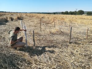 Vtáčia kriminalita na Slovensku je vážny problém. A nielen pre vtáky