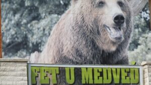 Čo poviem medveďovi