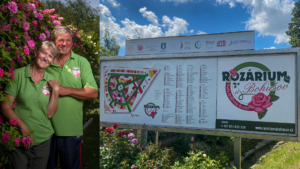 Nádhera rozkvitnutých ruží. Rozárium u Bohušov otvára svoje brány