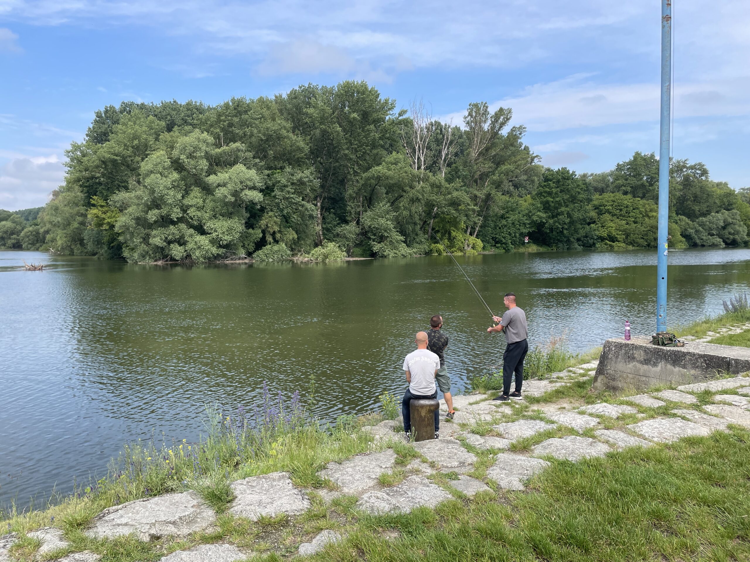 Sútok riek Dunaj a Morava. Miestni rybári odhadujú, že sa hladina zvýšil o štyri metre. Foto: Miroslava Pavlíková