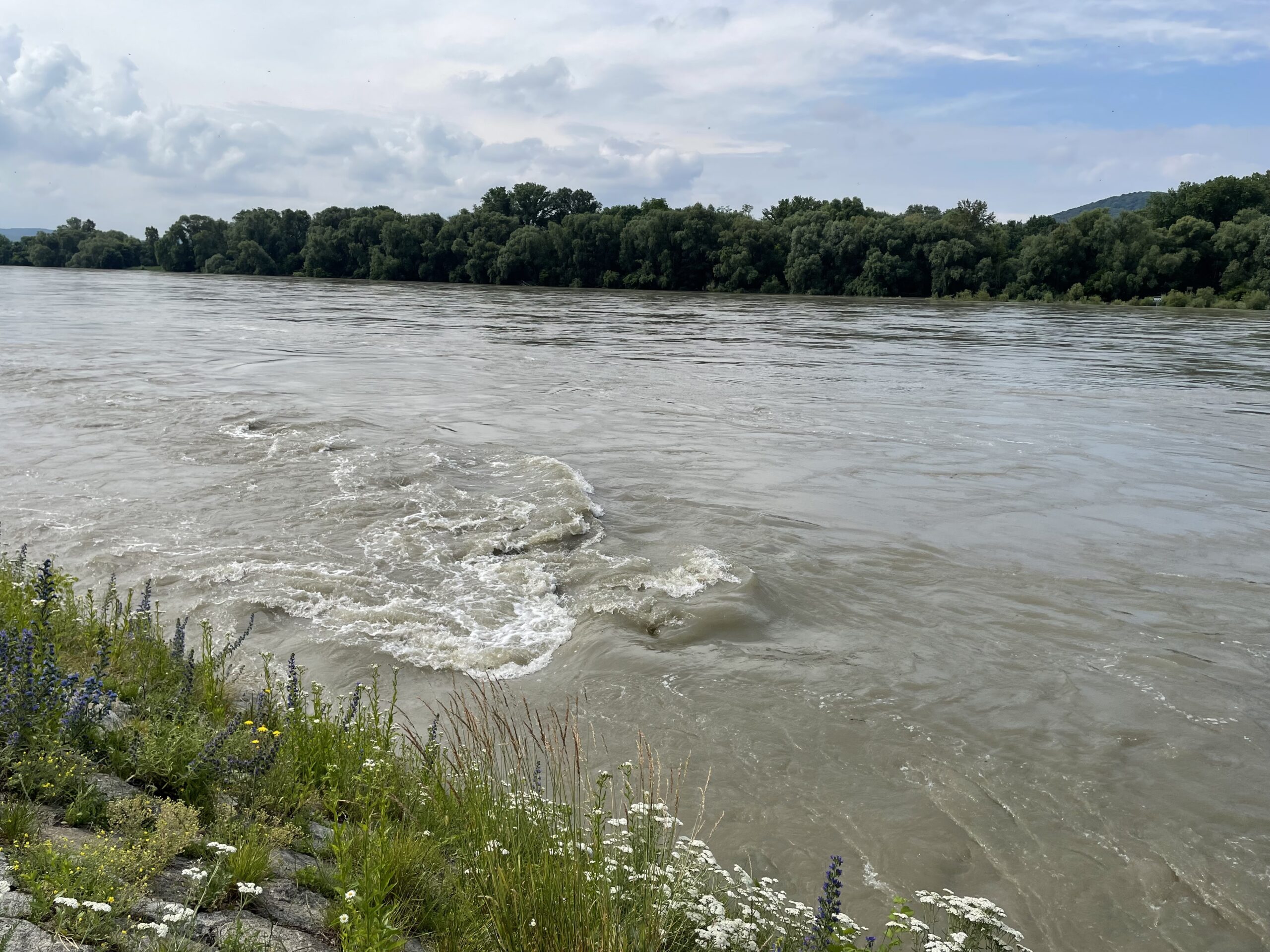 Hladiny riek Dunaj a Morava v mestskej časti Devín sa stále zvyšujú. Foto: Miroslava Pavlíková