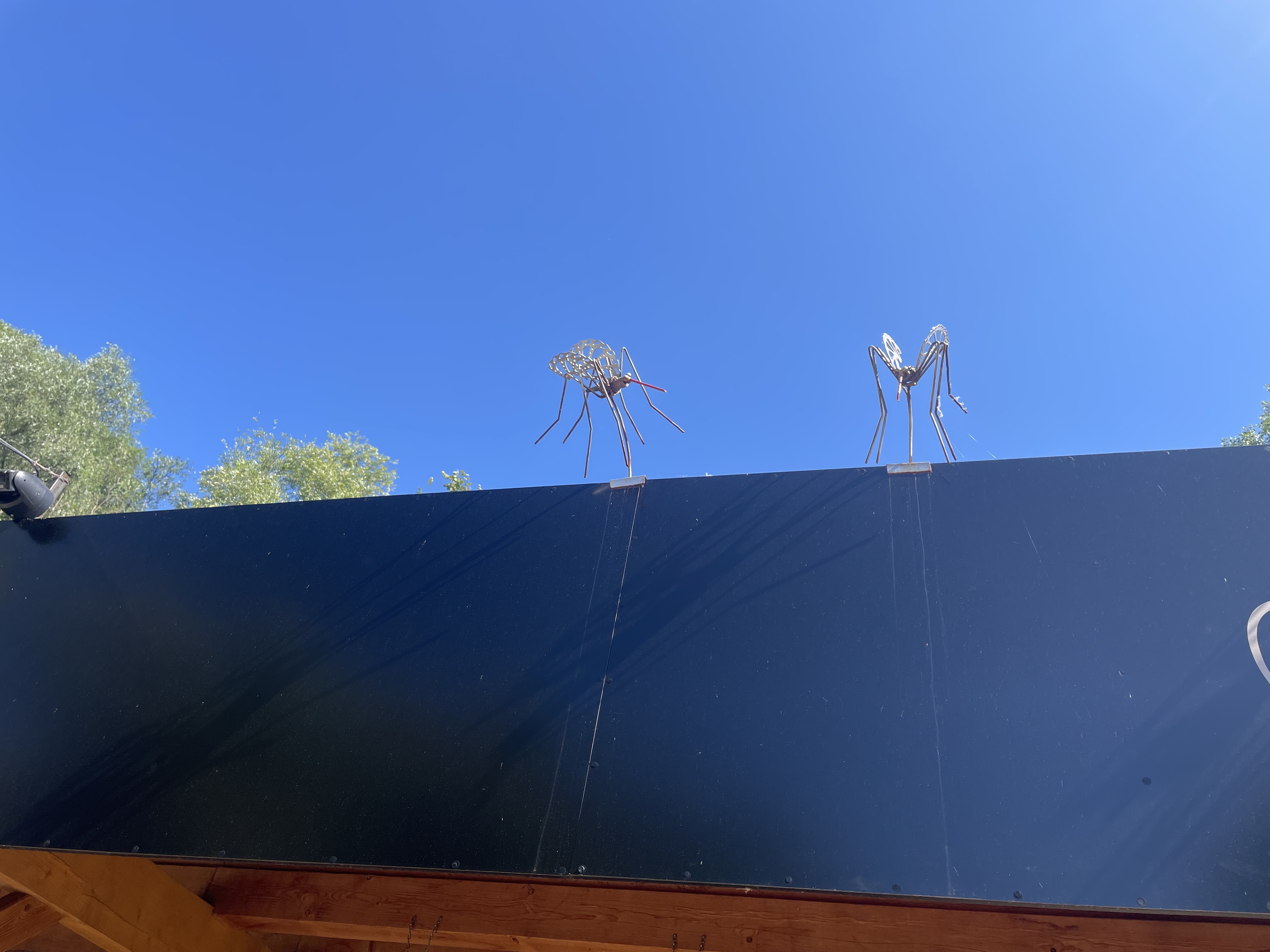 Vyhrajú komáre alebo ľudia? Magistrát sa odvoláva na zákon