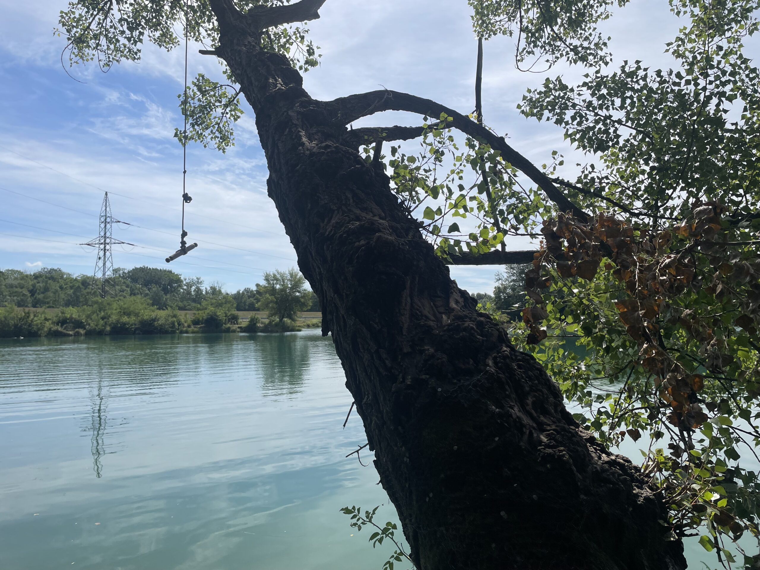 Rusovské jazero ponúka veľa zákutí a súkromia medzi stromami. Foto: Miroslava Pavlíková