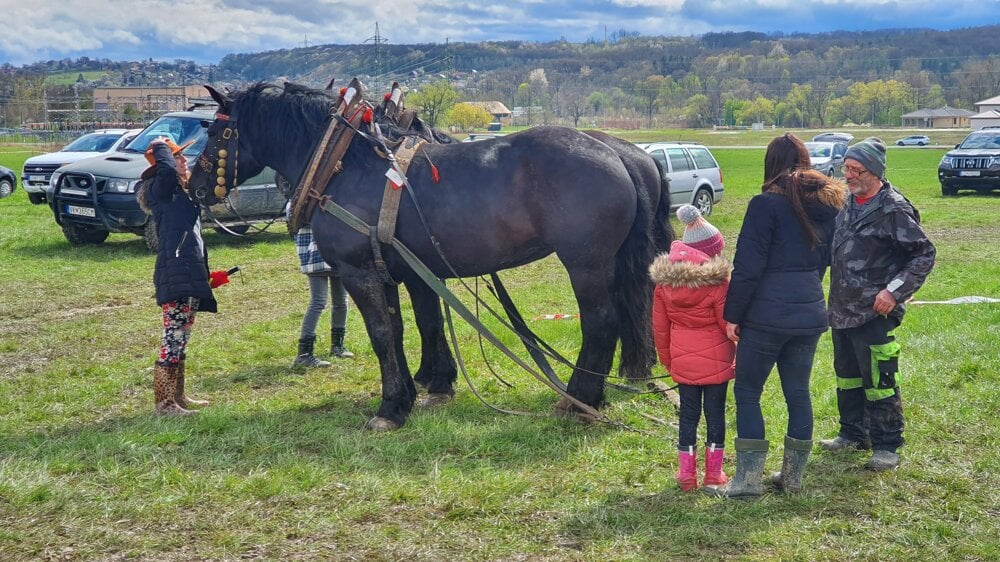 Kone na školskom majetku Ľadovo počas podujatia pre verejnosť. Foto: Branislav Caban