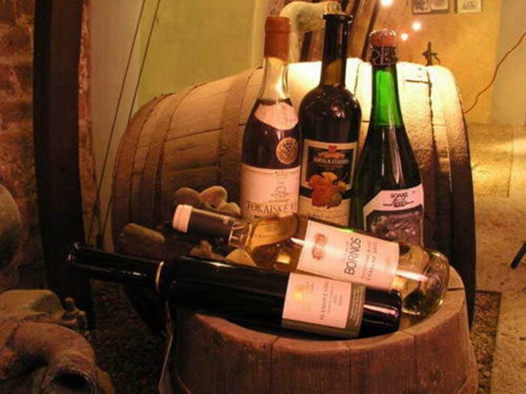 Svetoví výrobcovia mieria do Prešova. Začína sa Medzinárodná súťaž vín MUVINA 2024