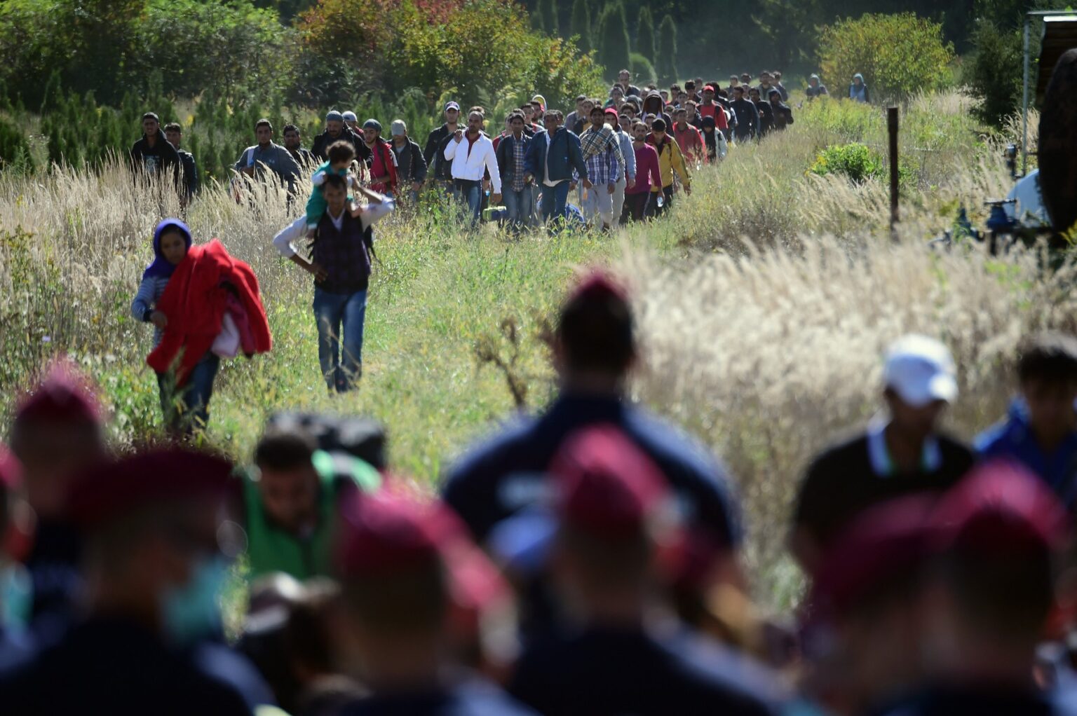 Maďarskí policajti sa stavajú do radu, keď migranti prechádzajú krajinou po tom, ako prekročili maďarsko-chorvátsku hranicu pri obci Zakany v Maďarsku, aby pokračovali v ceste na sever 21. septembra 2015. Zdroj: Profimedia