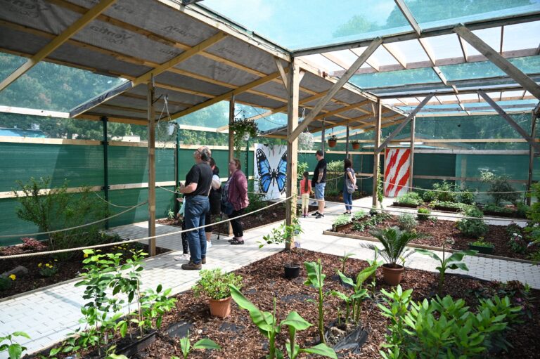 Tip na výlet: pri Bratislave otvorili jednu z najväčších motýlích záhrad v strednej Európe