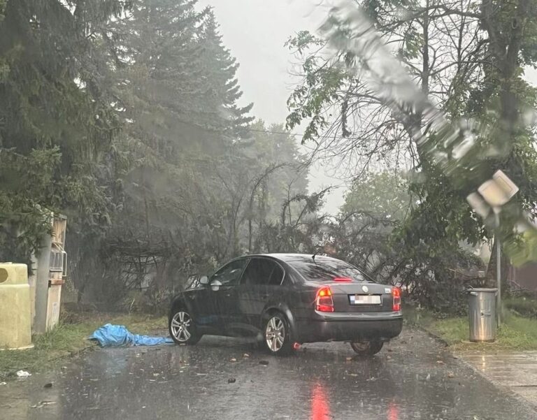 Spadnutý strom. Foto: FB Dopravný Info-Servis HE - SV - ML - VT -MI - SO a okolie