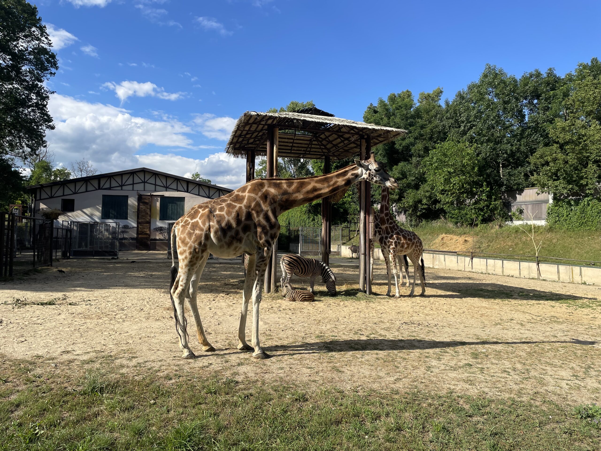 V ZOO Bratislava plánujú postaviť Zážitkové centrum vedy a planetárium. Foto: Miroslava Pavlíková